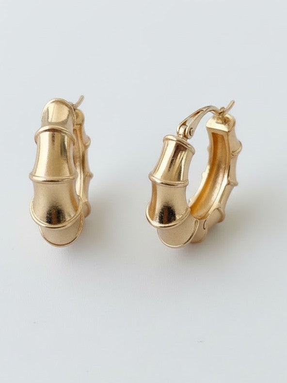 Twigloop Earrings