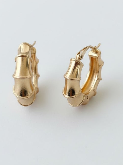 Twigloop Earrings
