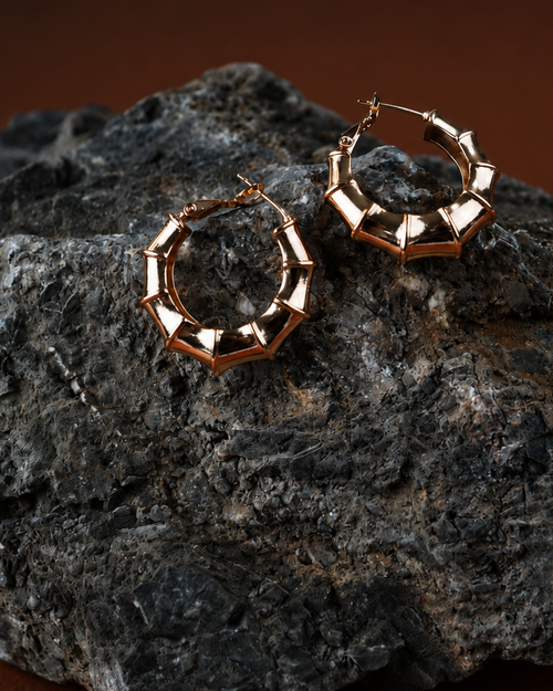 Twigloop Earrings