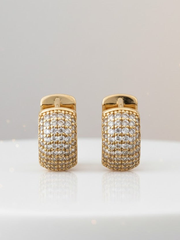 Twinkle Hug Earrings
